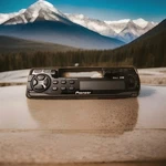 *pioneer KEH-P1010*FACEPLATE*. Fixed Price $25.00.