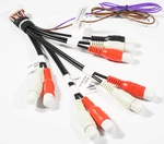 Xtenzi 20PIN Rca Harness For Sony XAV602BT XAV712HD XAV601BT XAV701HD. Fixed Price $24.99.