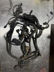 2005 Dodge Ram 5.9L Cummins Diesel Manual Engine Wiring Harness P/n 3972347D. Fixed Price $499.99.
