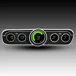 Ford Mustang Digital Dash Panel 1965-1966 Gauges By Intellitronix Green Leds. Fixed Price $434.20.